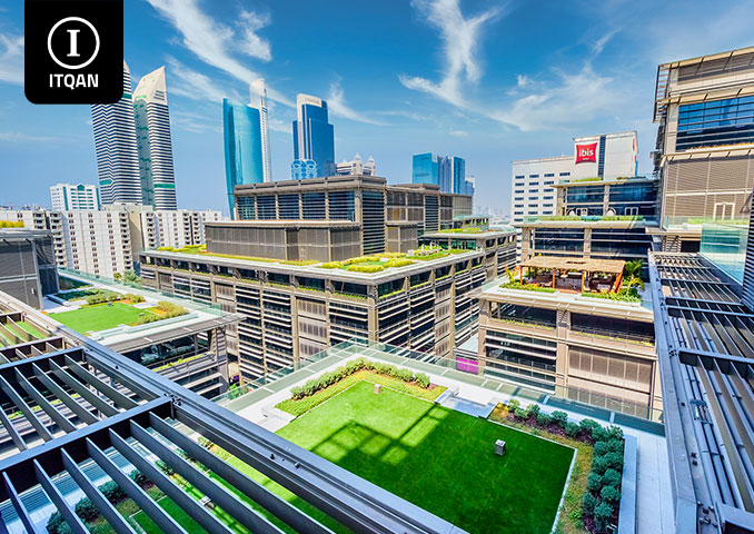 Establishing an offshore company in Dubai